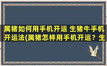 属猪如何用手机开运 生猪牛手机开运法(属猪怎样用手机开运？生猪牛手机开运法大揭秘！)